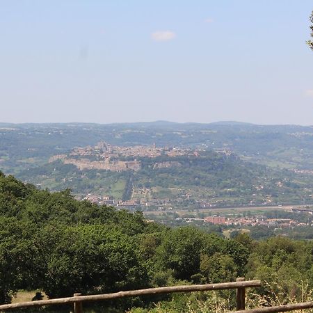 Agriturismo Fattoria Poggio Boalaio Орвието Екстериор снимка