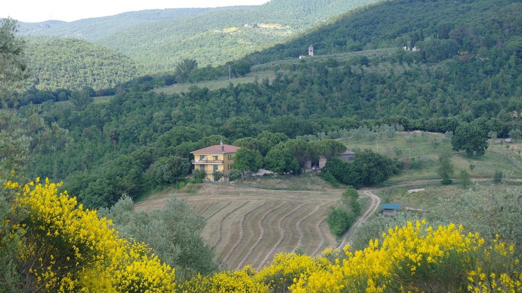 Agriturismo Fattoria Poggio Boalaio Орвието Екстериор снимка