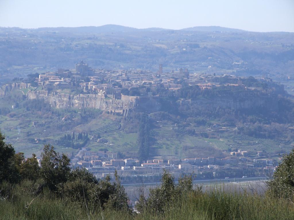 Agriturismo Fattoria Poggio Boalaio Орвието Екстериор снимка