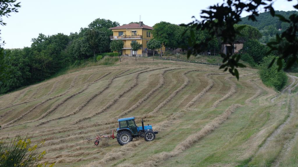 Agriturismo Fattoria Poggio Boalaio Орвието Екстериор снимка