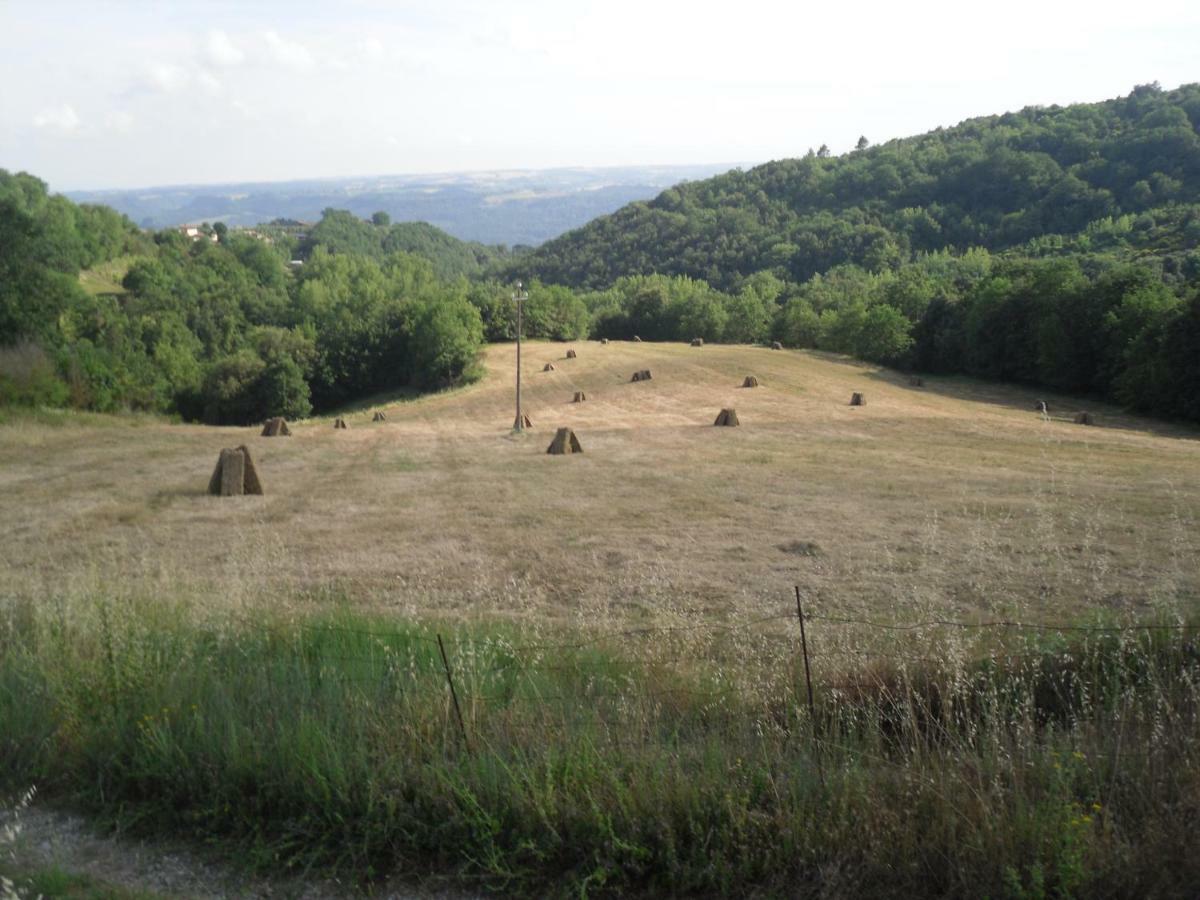 Agriturismo Fattoria Poggio Boalaio Орвието Екстериор снимка