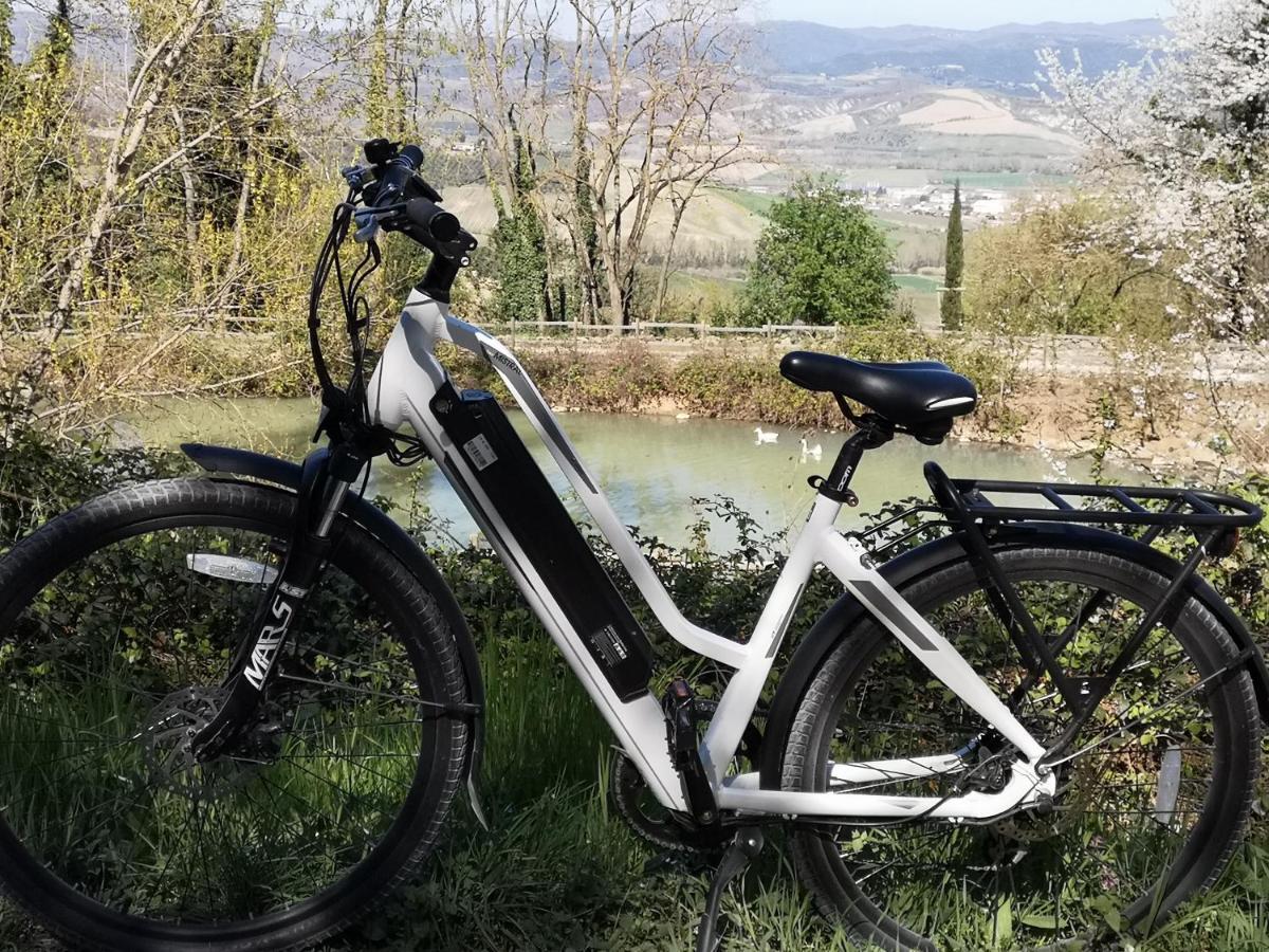 Agriturismo Fattoria Poggio Boalaio Орвието Екстериор снимка